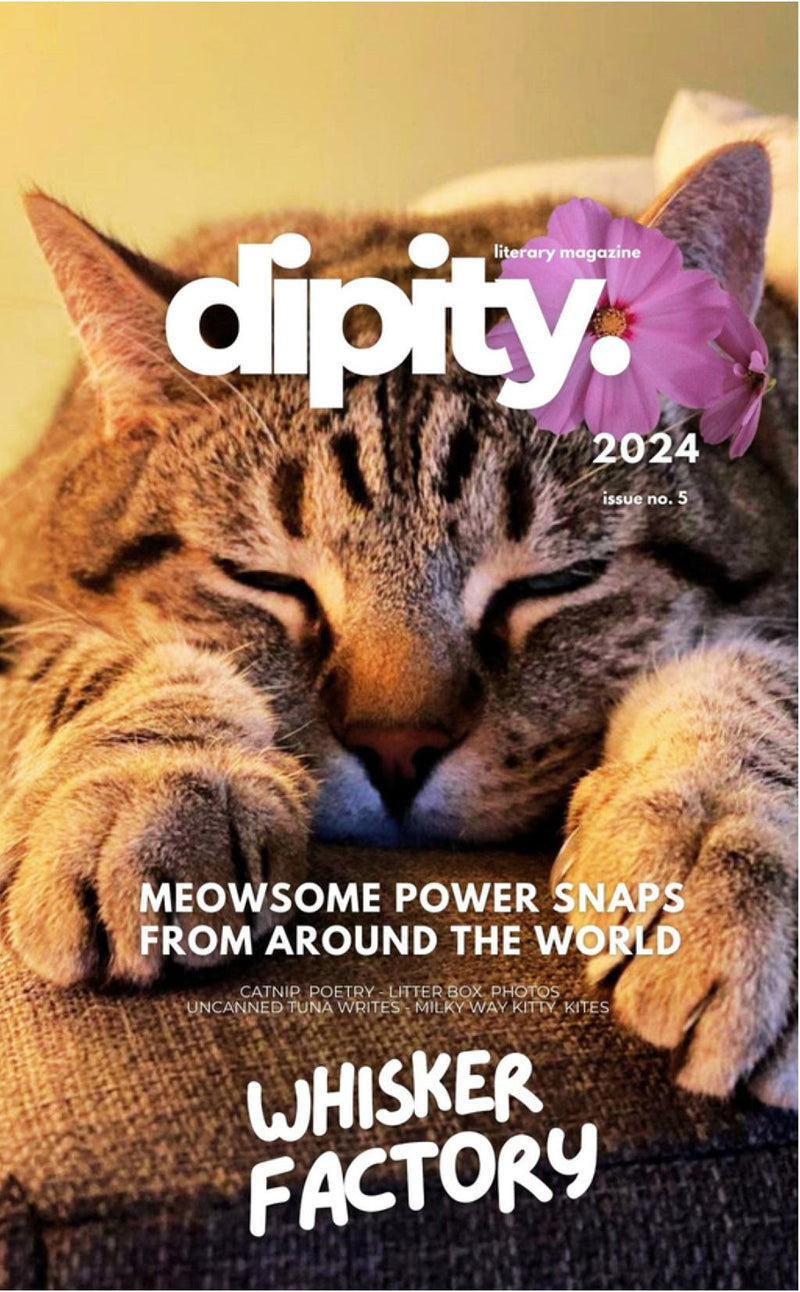 Dipity Literary Magazine Issue