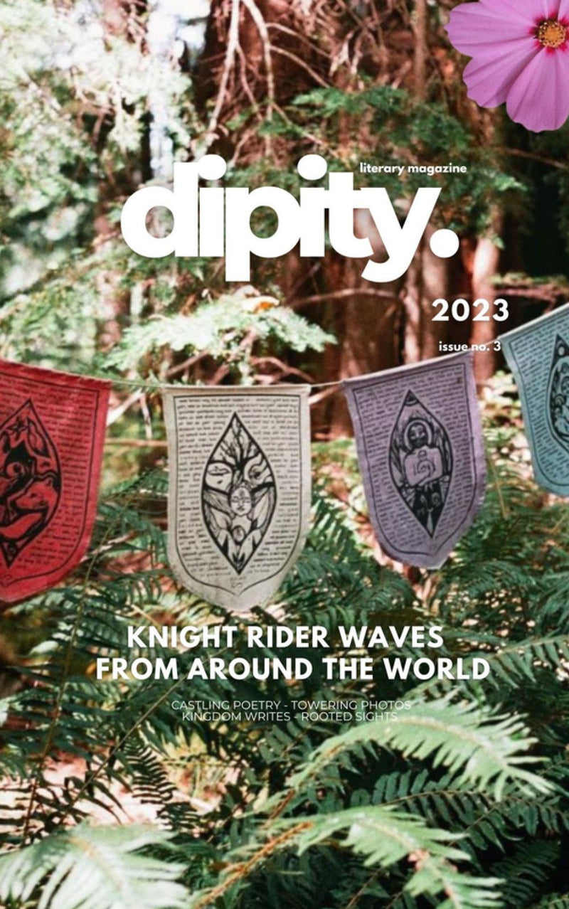 Dipity Literary Magazine Issue