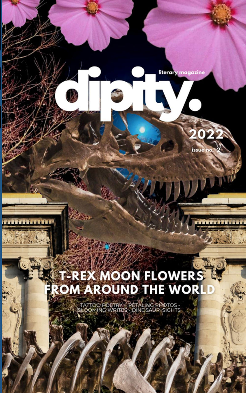 Dipity Literary Magazine Issue