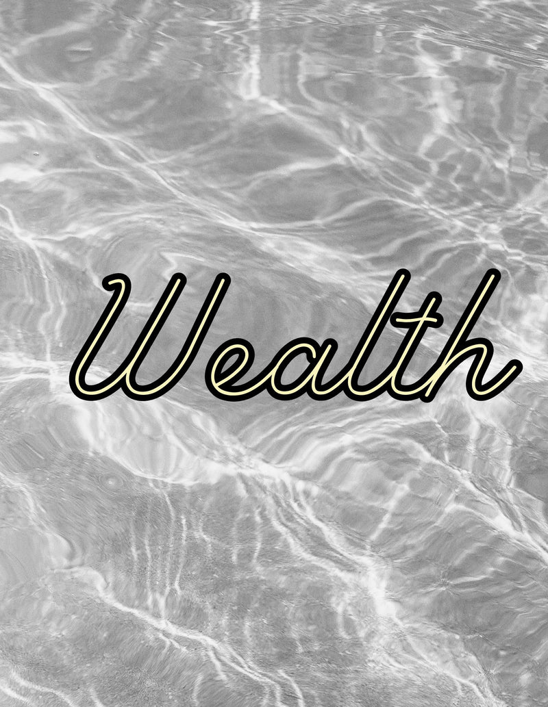 Decorative Book- Wealth Gray