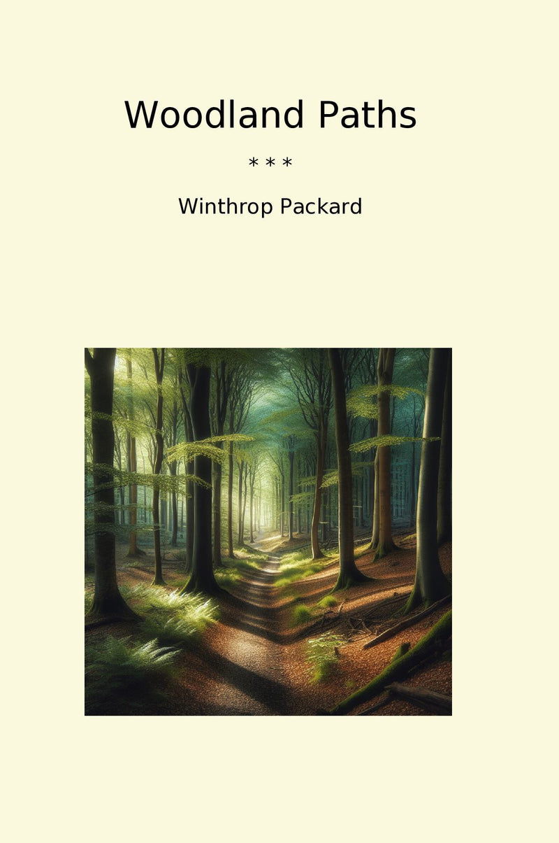 Woodland Paths