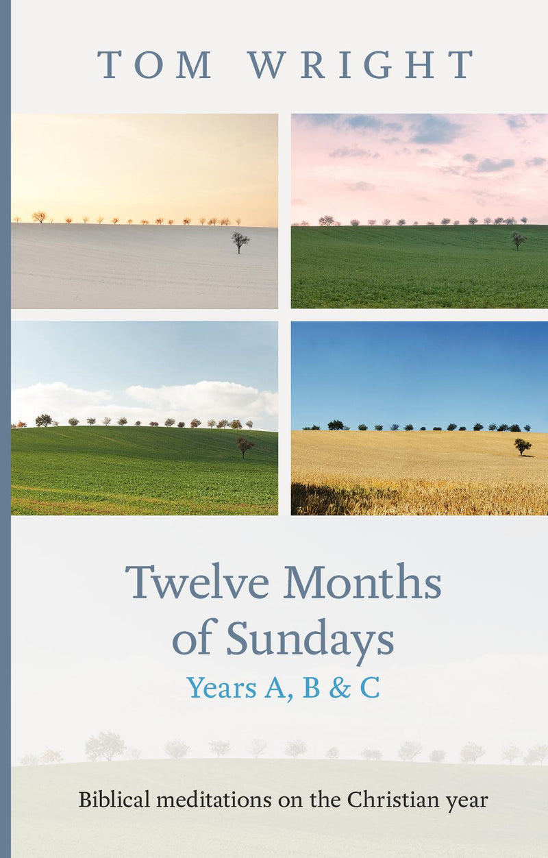 Twelve Months of Sundays Years A, B and C: Biblical Meditations on the Christian Year 