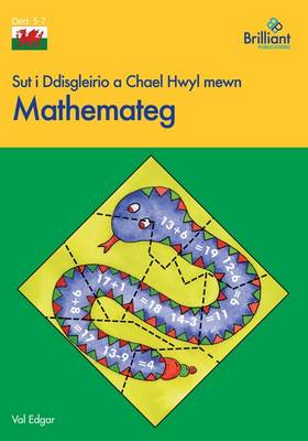 Sut i Ddisgleirio a Chael Hwyl mewn Mathemateg