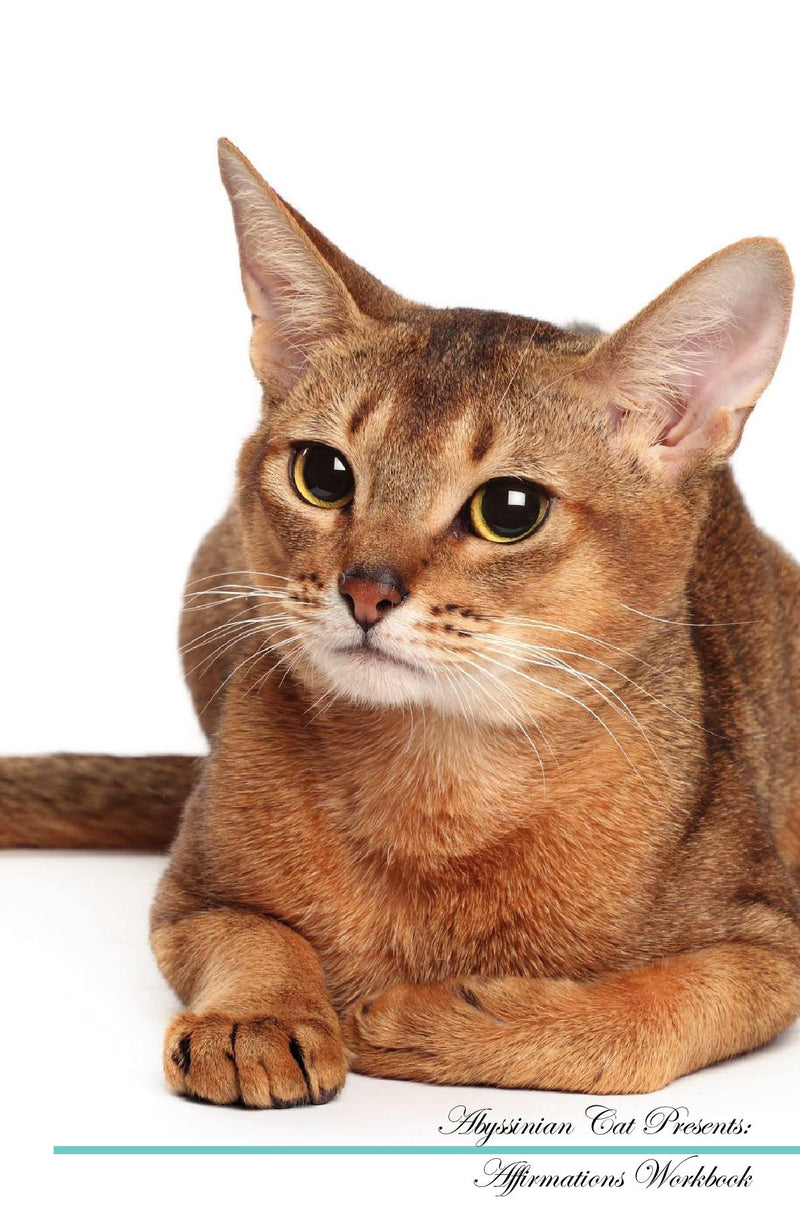 Abyssinian Cat Affirmations Workbook Abyssinian Cat Presents: Positive and Loving Affirmations Workbook. Includes: Mentoring Questions, Guidance, Supporting You.