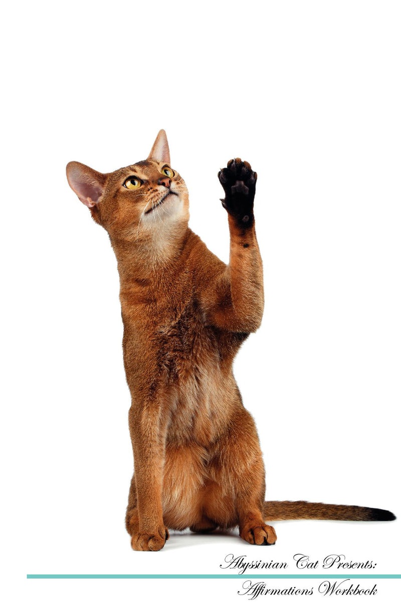 Abyssinian Cat Affirmations Workbook Abyssinian Cat Presents: Positive and Loving Affirmations Workbook. Includes: Mentoring Questions, Guidance, Supporting You.