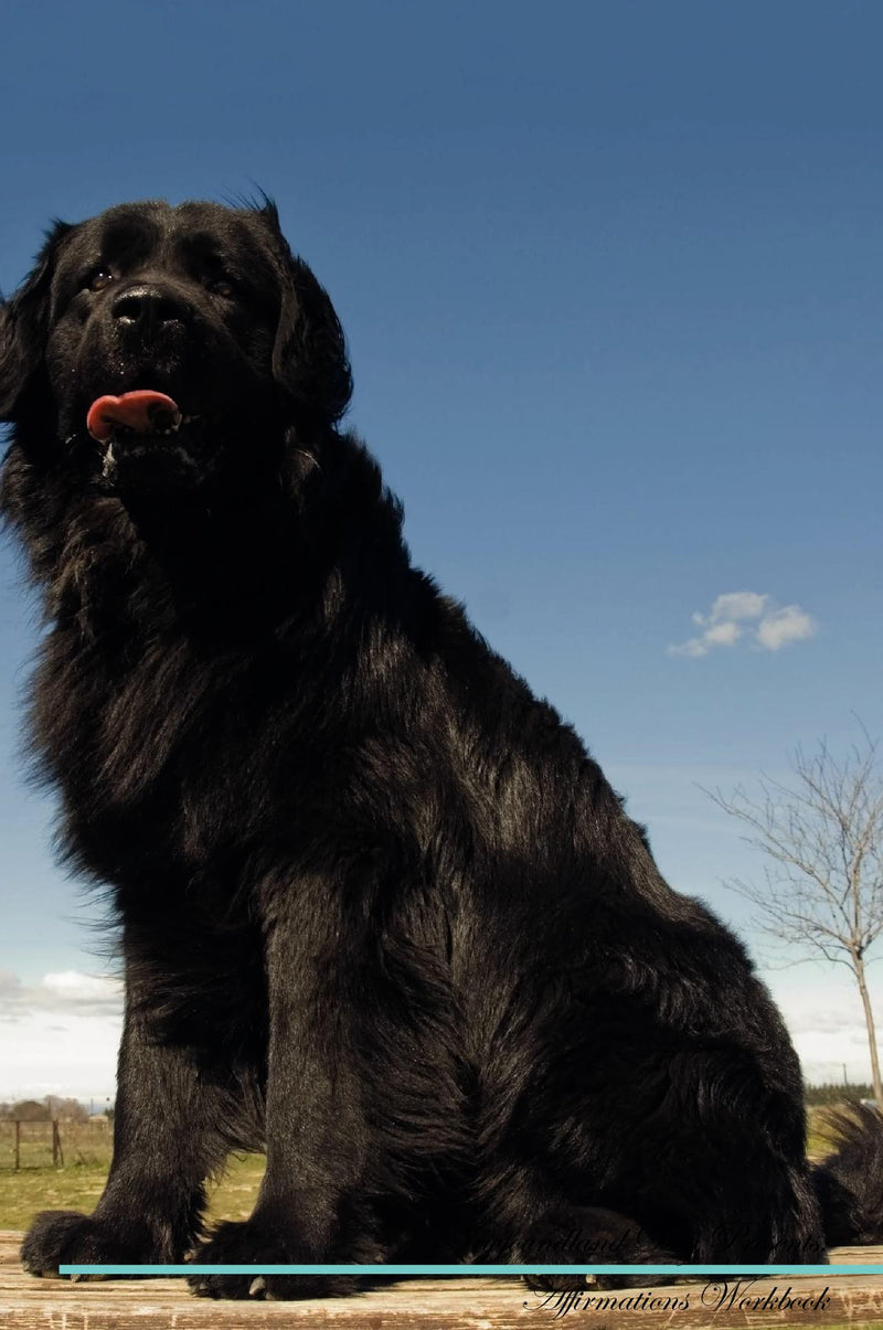 Newfoundland Dog Affirmations Workbook Newfoundland Dog Presents: Positive and Loving Affirmations Workbook. Includes: Mentoring Questions, Guidance, Supporting You.