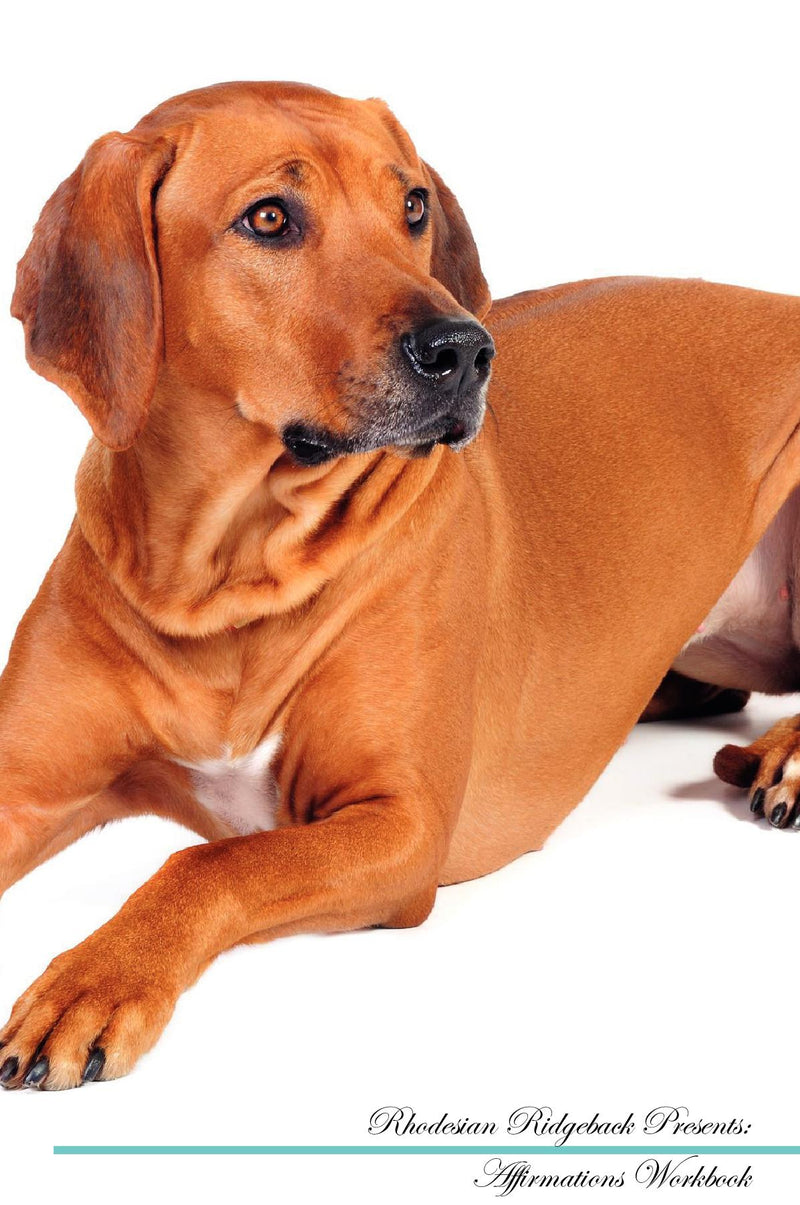 Rhodesian Ridgeback Affirmations Workbook Rhodesian Ridgeback Presents: Positive and Loving Affirmations Workbook. Includes: Mentoring Questions, Guidance, Supporting You.