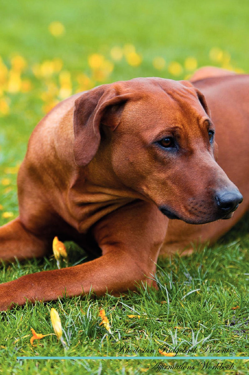 Rhodesian Ridgeback Affirmations Workbook Rhodesian Ridgeback Presents: Positive and Loving Affirmations Workbook. Includes: Mentoring Questions, Guidance, Supporting You.