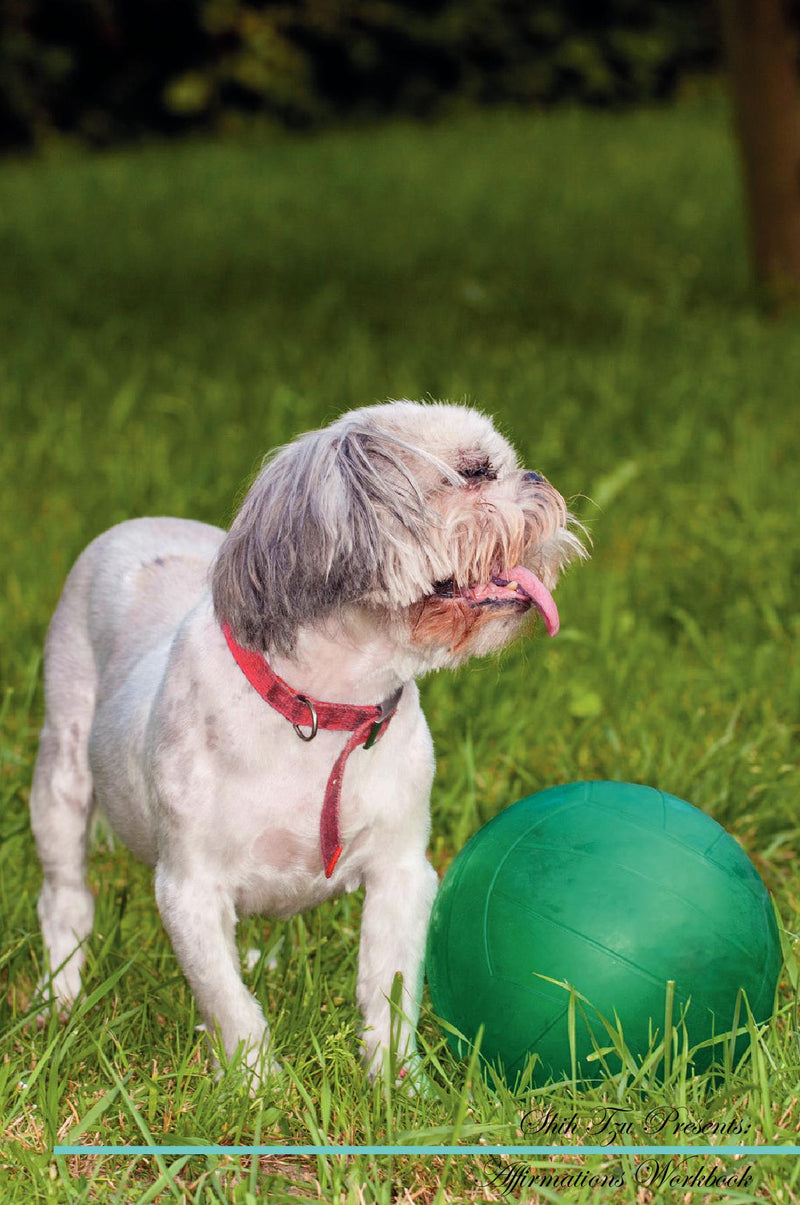 Shih Tzu Affirmations Workbook Shih Tzu Presents: Positive and Loving Affirmations Workbook. Includes: Mentoring Questions, Guidance, Supporting You.