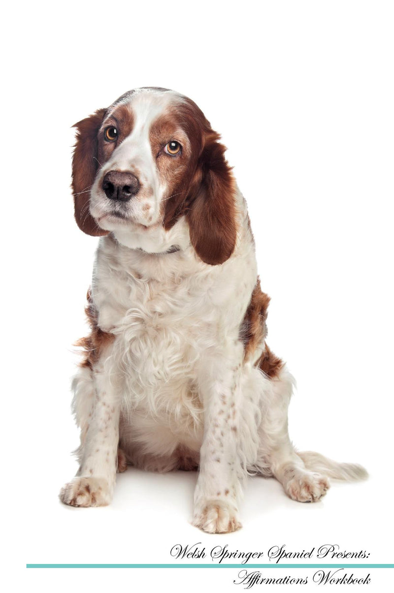 Welsh Springer Spaniel Affirmations Workbook Welsh Springer Spaniel Presents: Positive and Loving Affirmations Workbook. Includes: Mentoring Questions, Guidance, Supporting You.