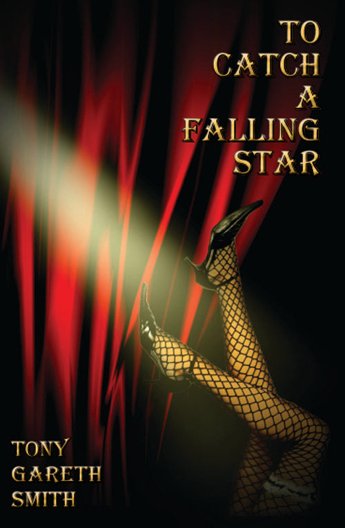 To Catch a Falling Star 