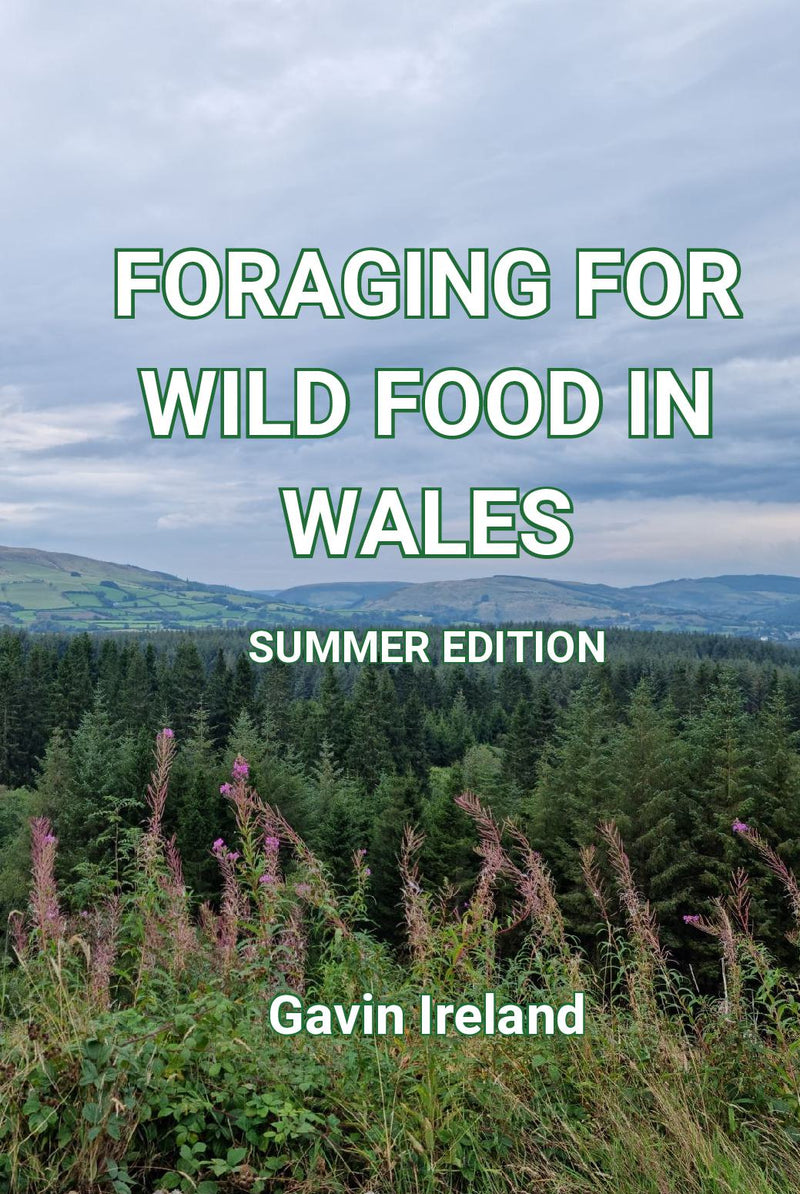 Foraging for Wild Food in Wales - Summer Edition