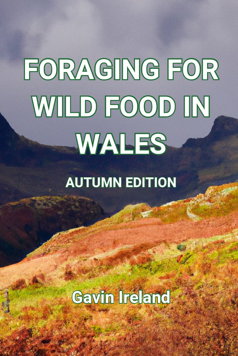 Foraging for Wild Food in Wales - Autumn Edition