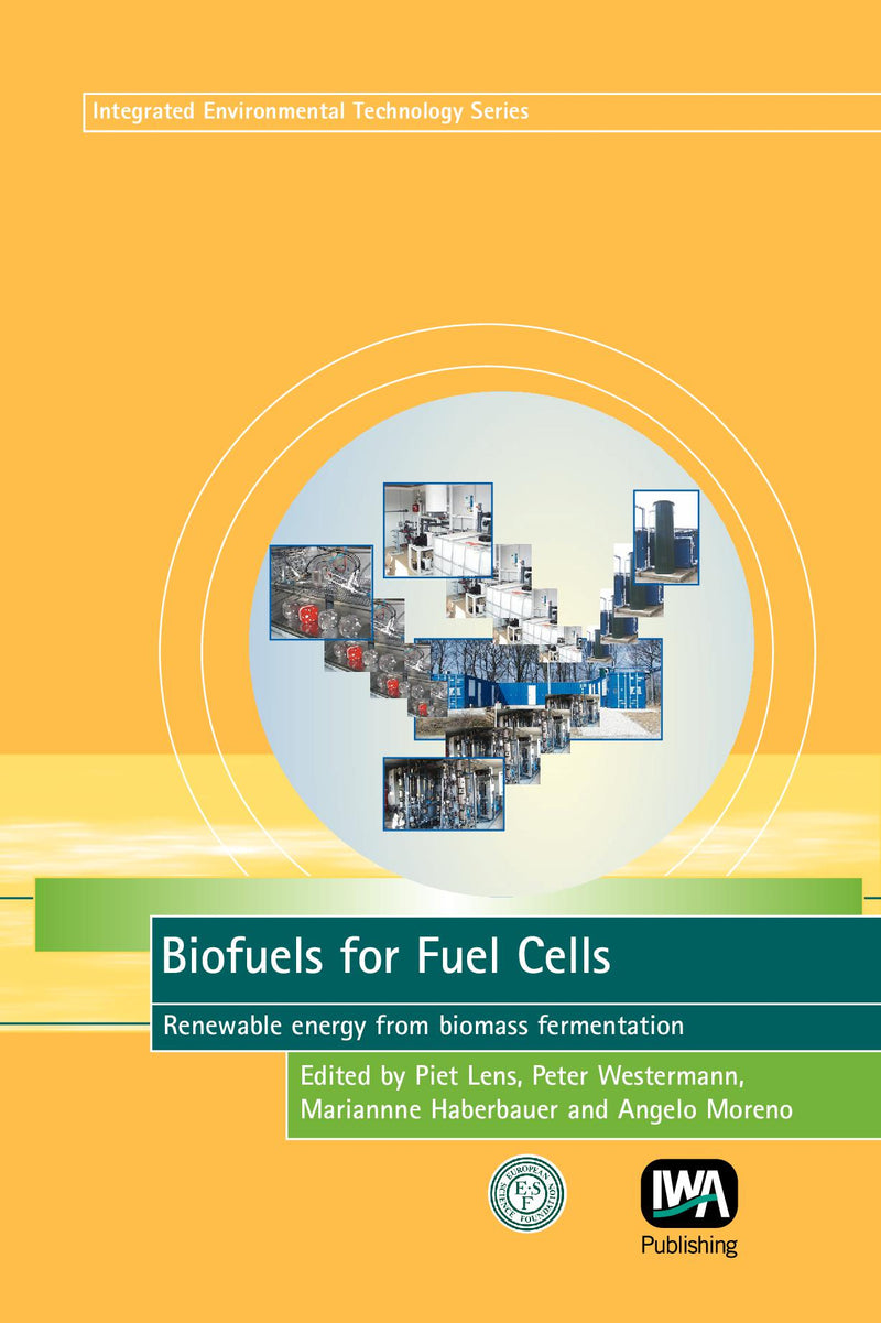 Biofuels for Fuel Cells