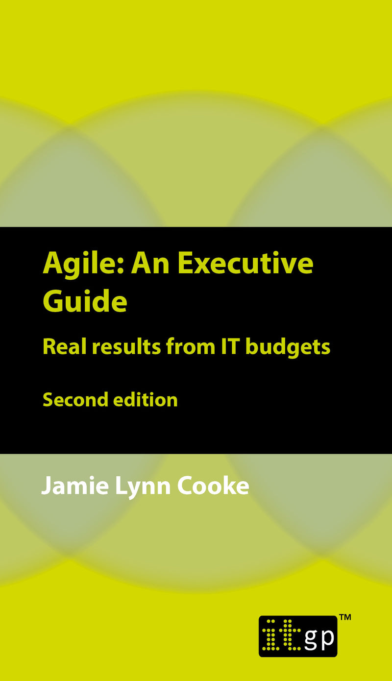 Agile An Executive Guide, second edition