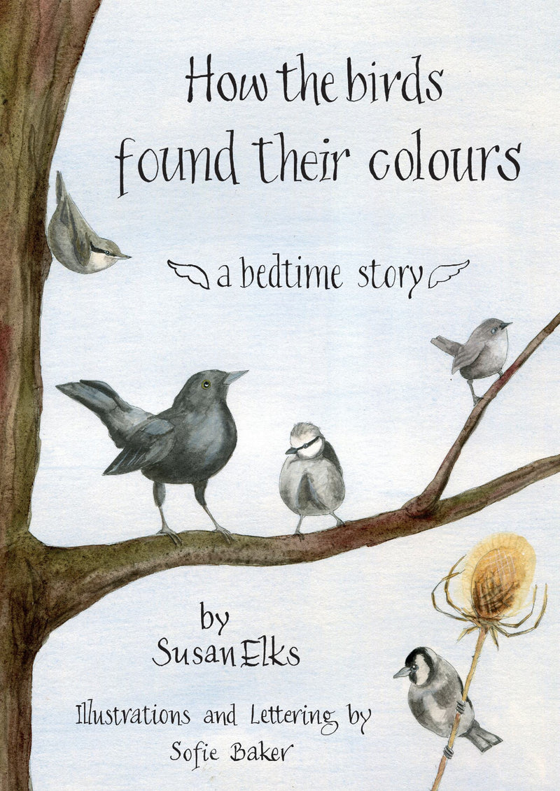 How The Birds Found Their Colours