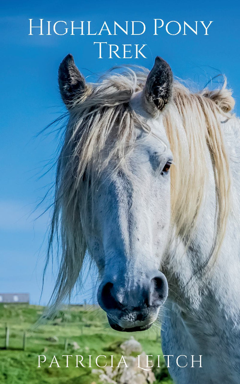 Highland Pony Trek