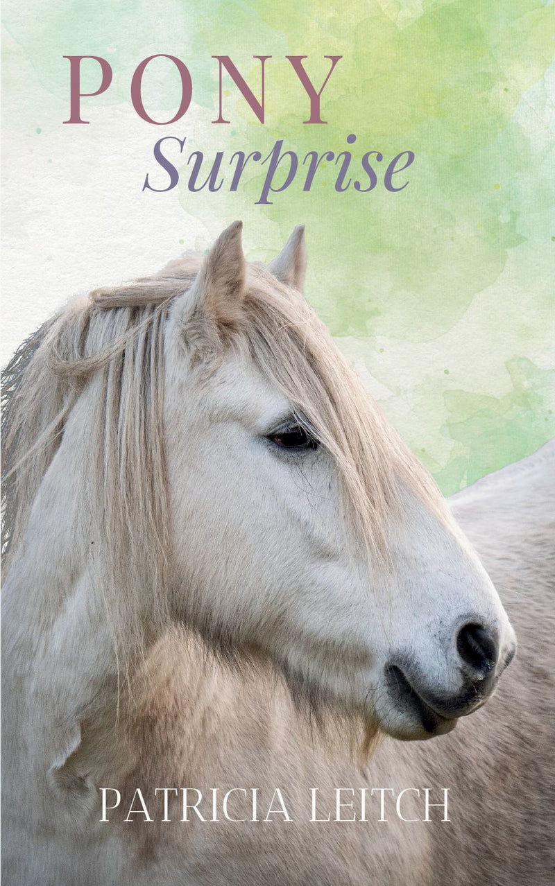 Pony Surprise