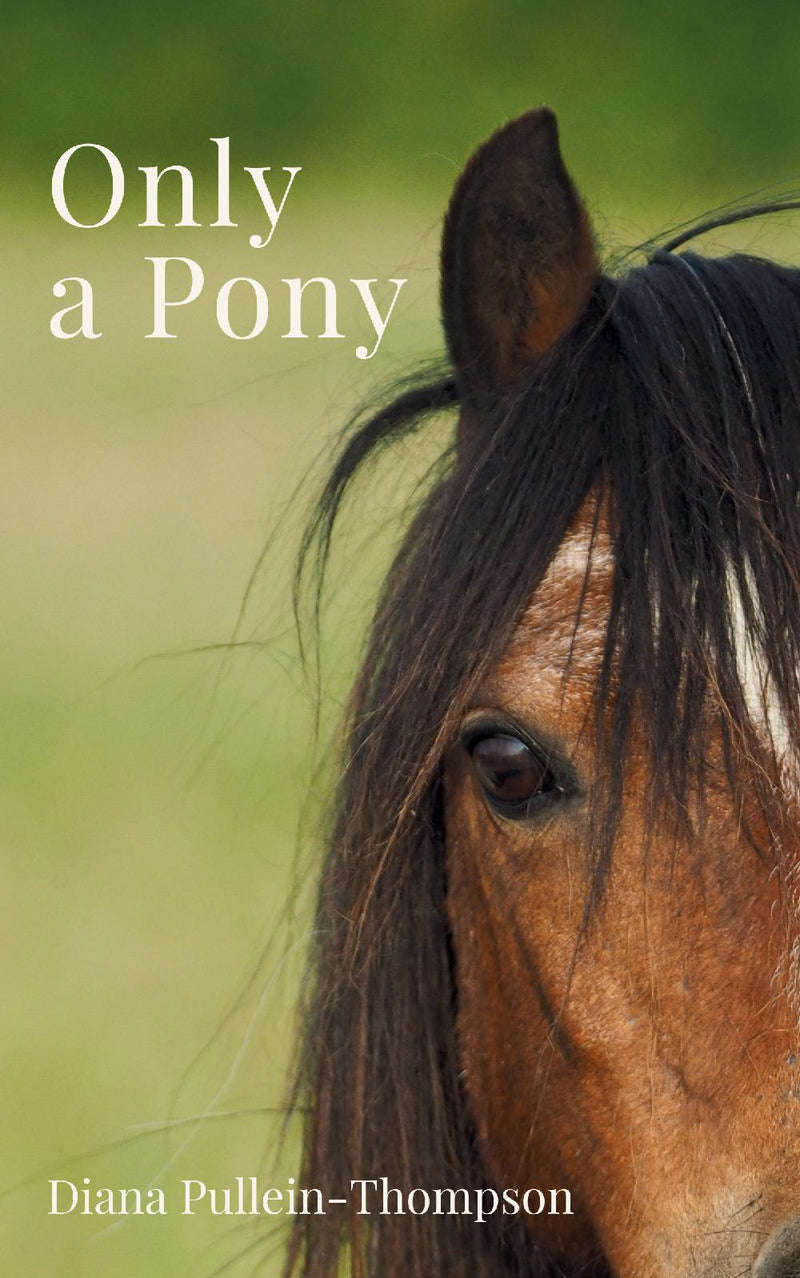 Only a Pony