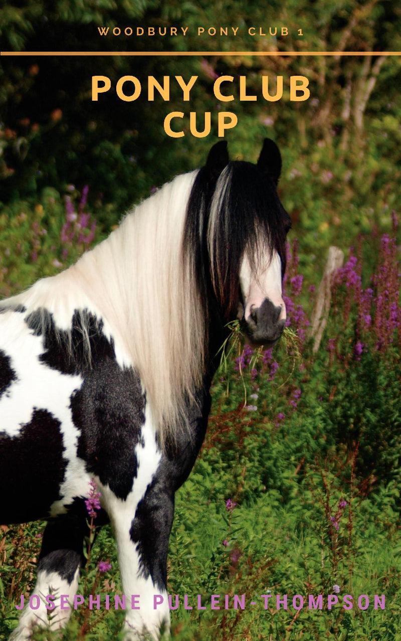 Pony Club Cup