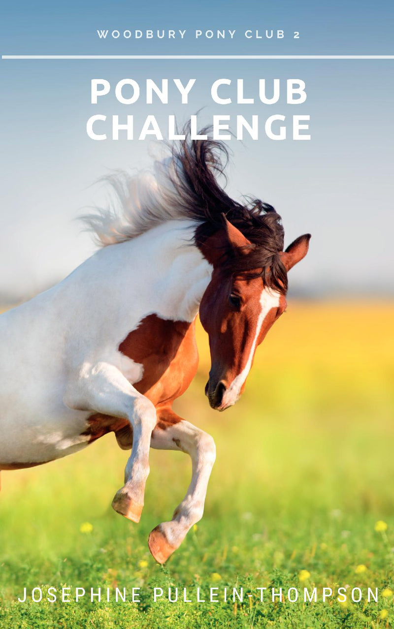 Pony Club Challenge