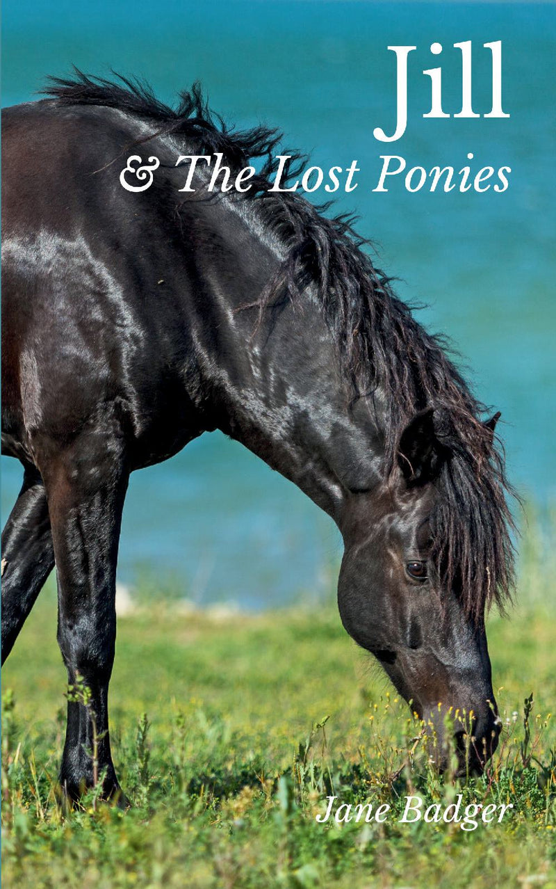 Jill and the Lost Ponies