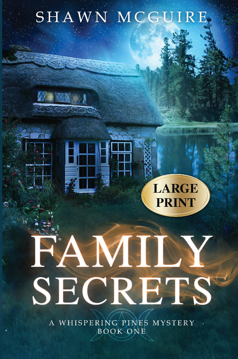 Family Secrets (large print)